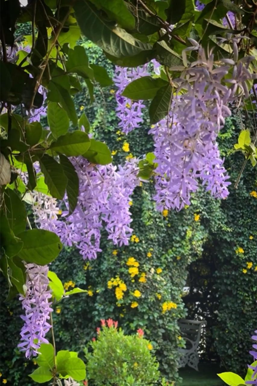 Heavenly Garden location 1