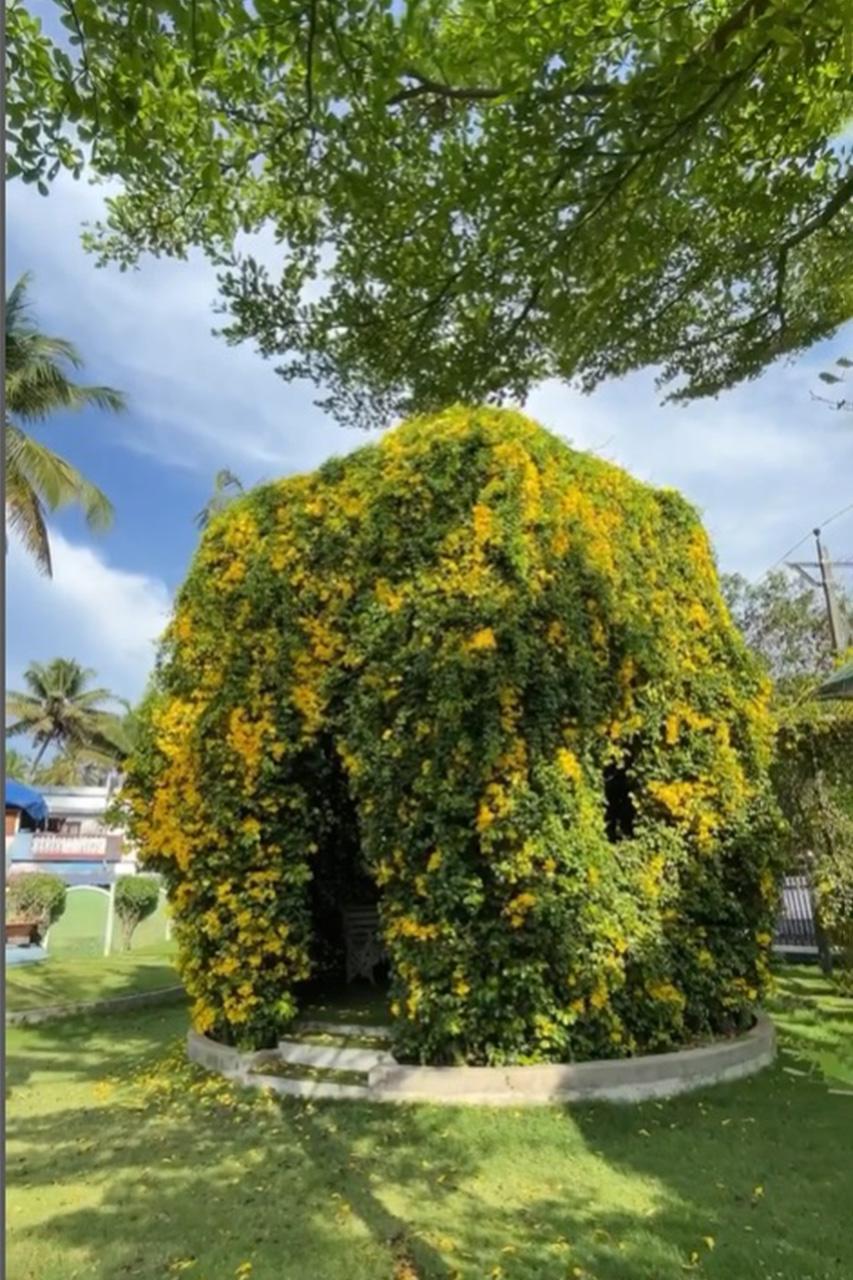 Heavenly Garden location 3