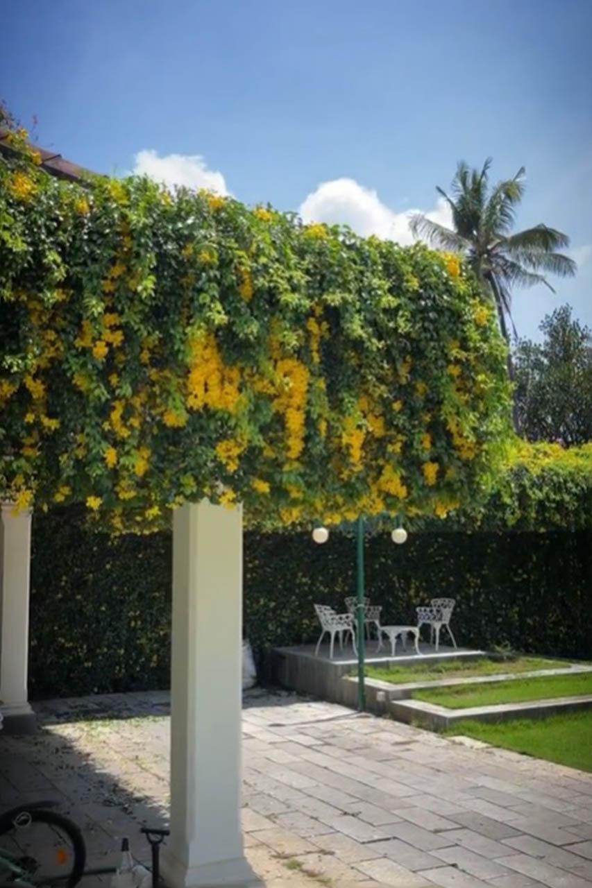 Heavenly Garden location 6