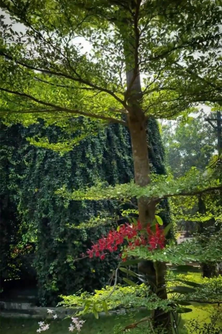 Heavenly Garden location 7